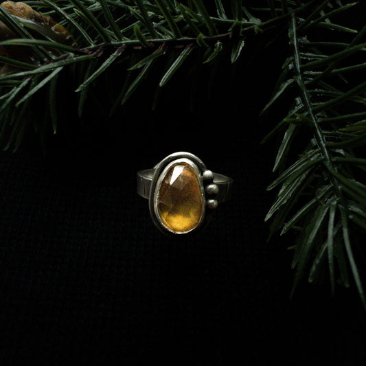 Autumn Aspen Ring with Citrine Size 8